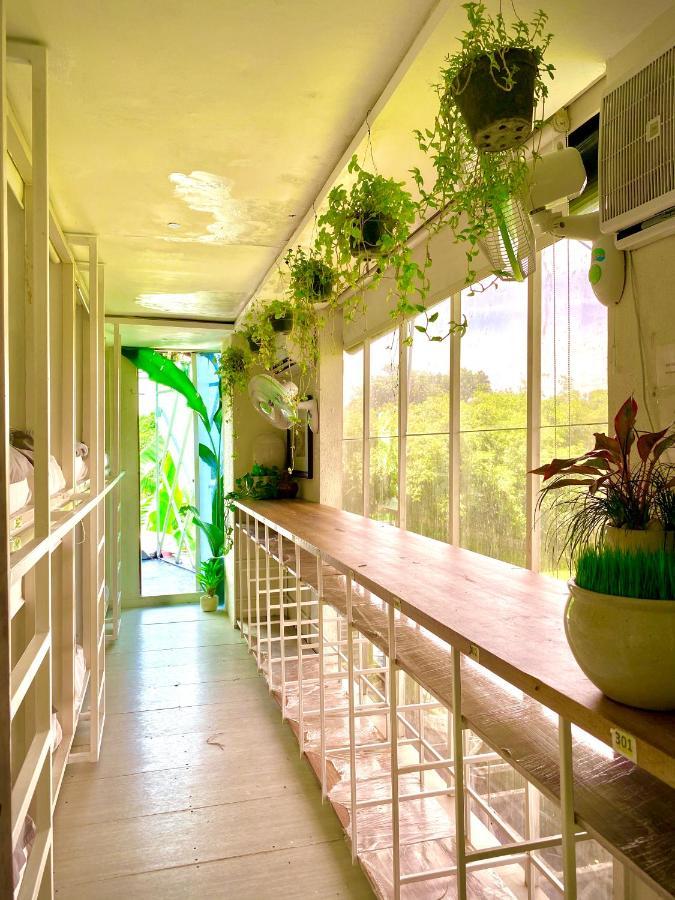 The Hide At (adults Only) Asrama